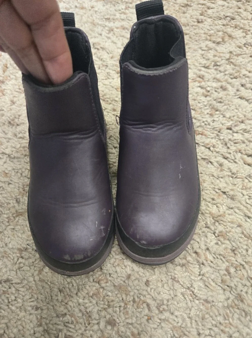 Native Kids Chelsea Boots in Plum and Black Size 8